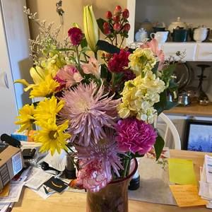 Meet your Posher, Janice